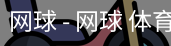 网球